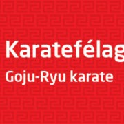KaratefelagRey_1000x250