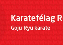 KaratefelagRey_1000x250